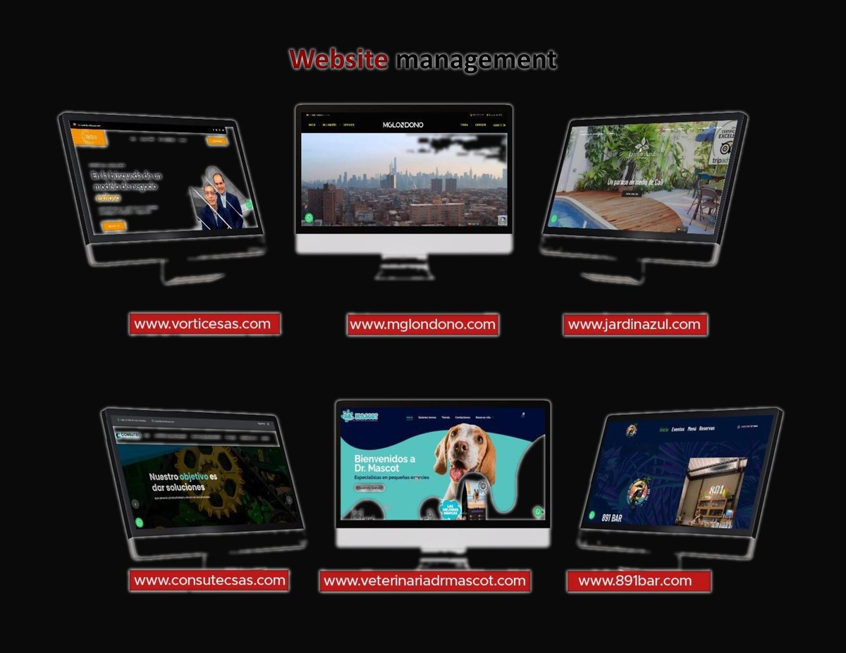 Website Management — 6 sitios entregados